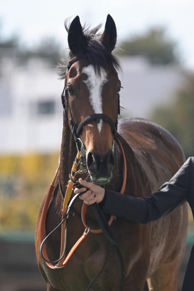 エルチェリーナ デビュー戦ウイナーズサークルにて