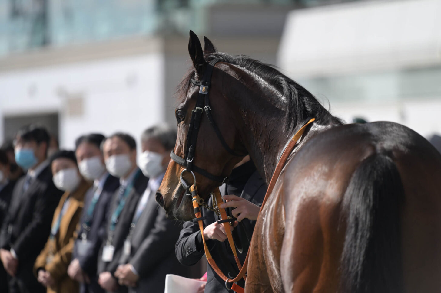 エルチェリーナ デビュー戦ウイナーズサークルにて