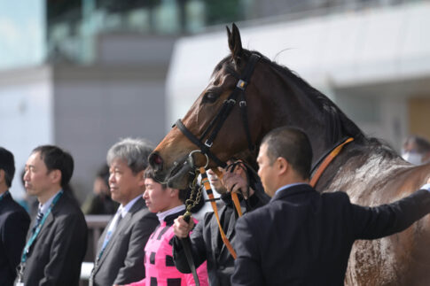 エルチェリーナ デビュー戦ウィナーズサークルにて