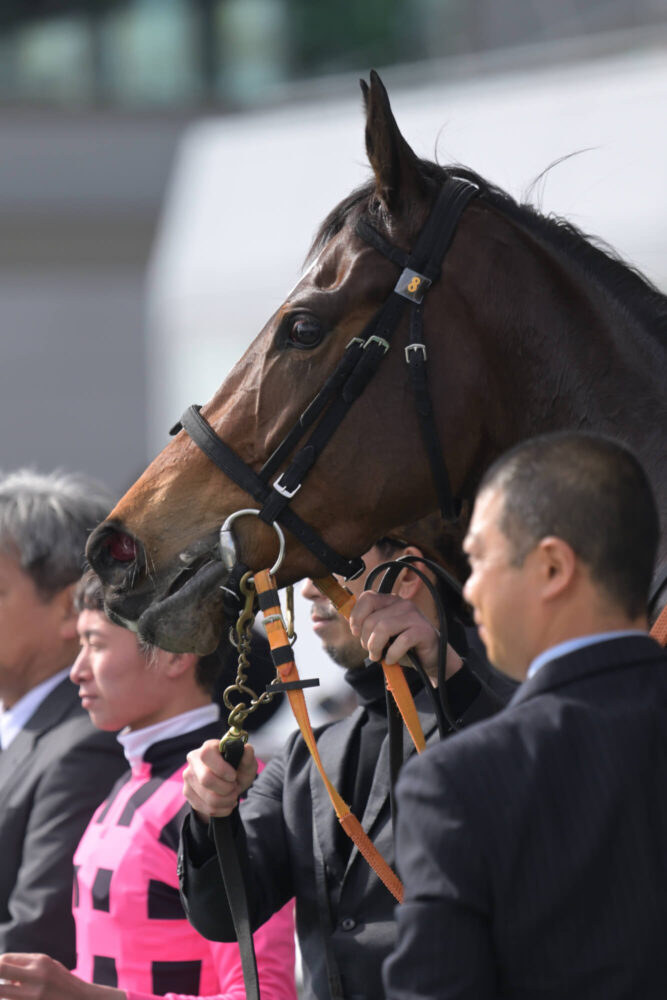 エルチェリーナ デビュー戦ウイナーズサークルにて