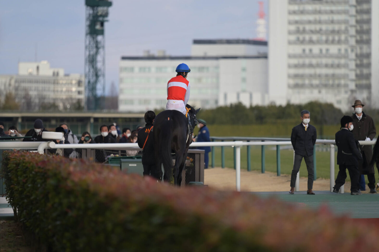 ショウナンアデイブ 11戦目本馬場入場