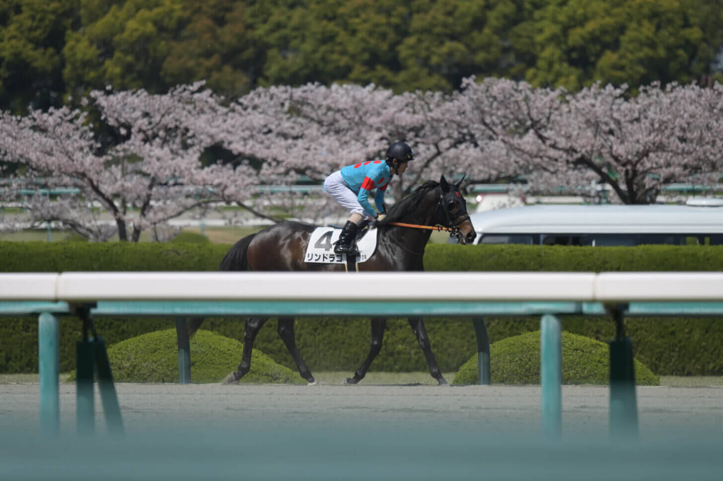 リンドラゴ9戦目返し馬