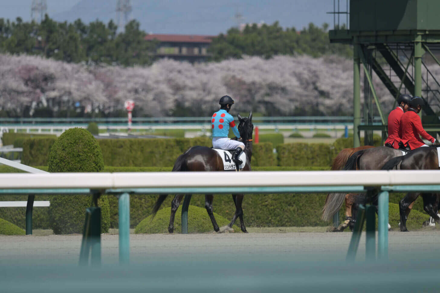 リンドラゴ9戦目返し馬