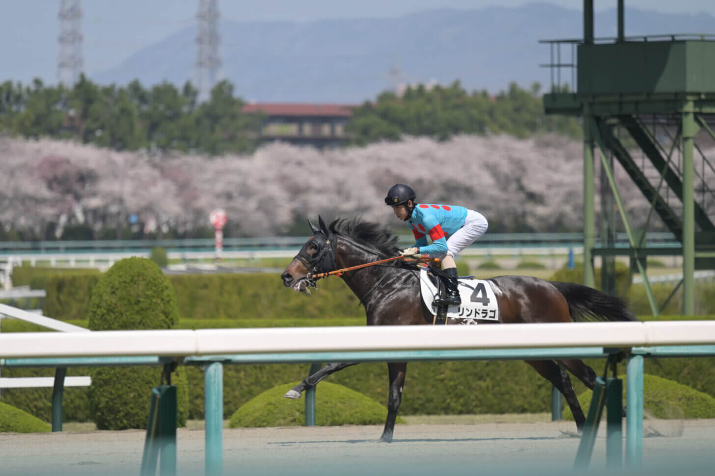 リンドラゴ9戦目返し馬