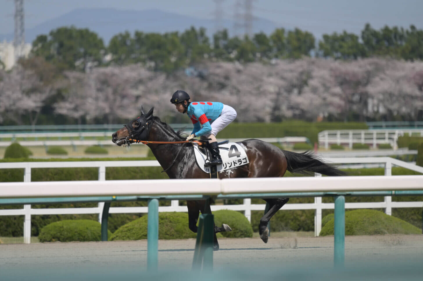 リンドラゴ9戦目返し馬