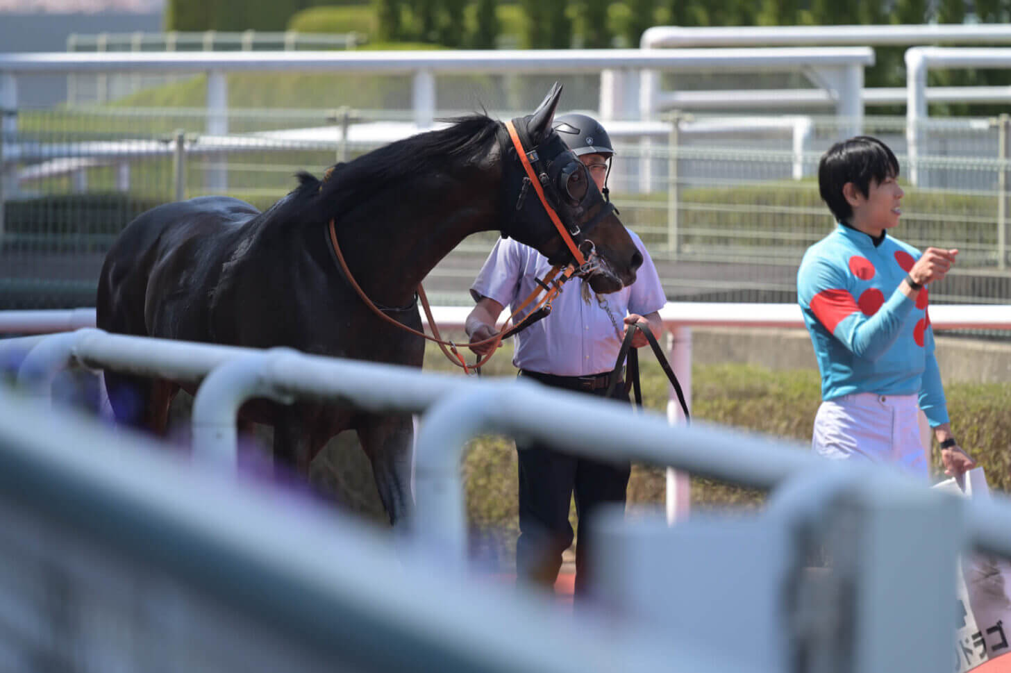 リンドラゴ9戦目 レース後の口取り写真