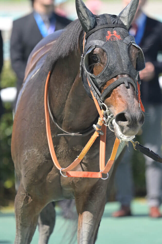 リンドラゴ9戦目 レース後の口取り写真