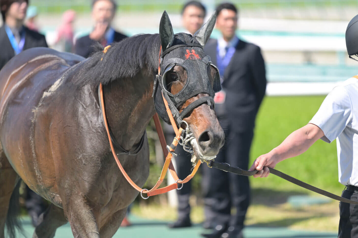 リンドラゴ9戦目 レース後の口取り写真