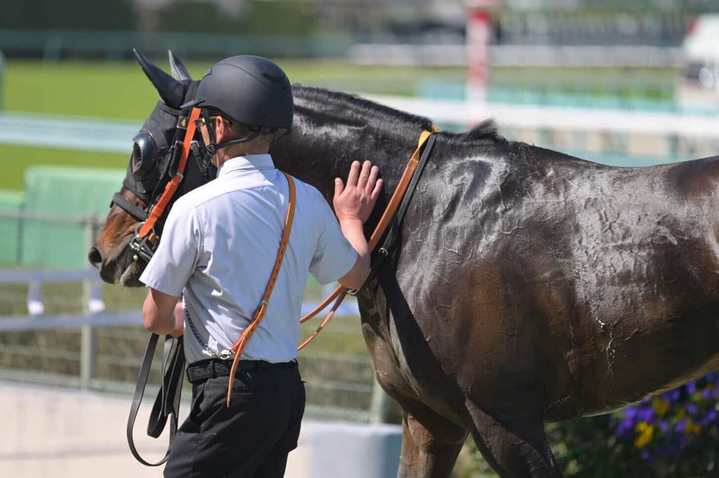 リンドラゴ9戦目 レース後の口取り写真