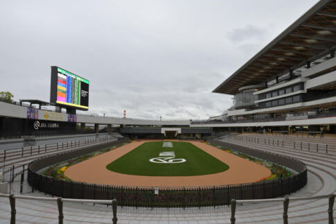 新装京都競馬場パドック