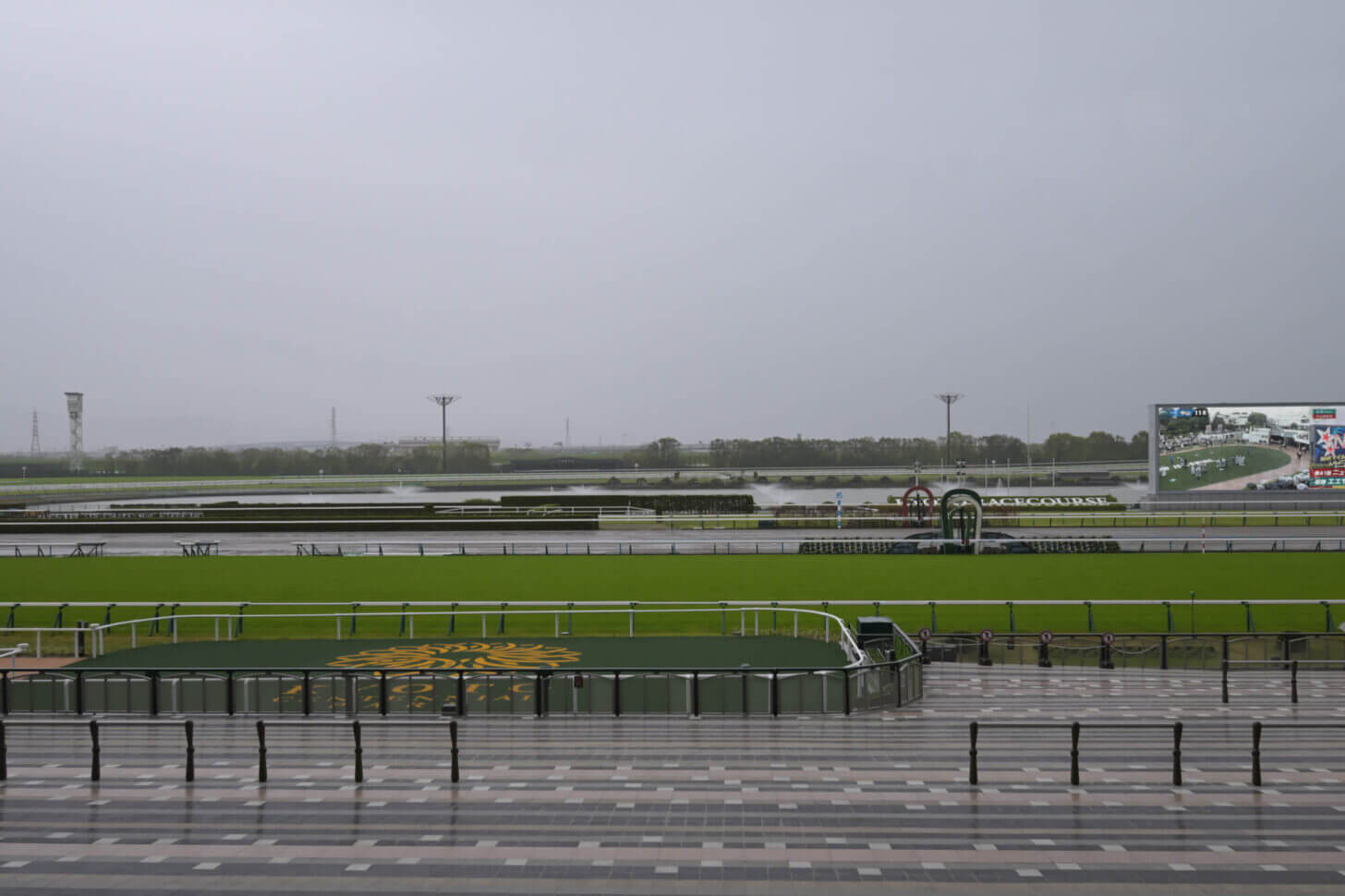 新スタンド（ゴールサイド）から見る京都競馬場