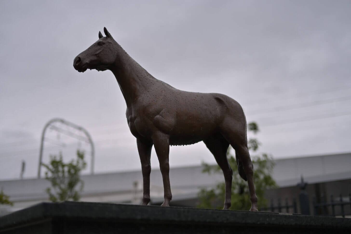 京都競馬場 三冠馬メモリアルロード ナリタブライアン像