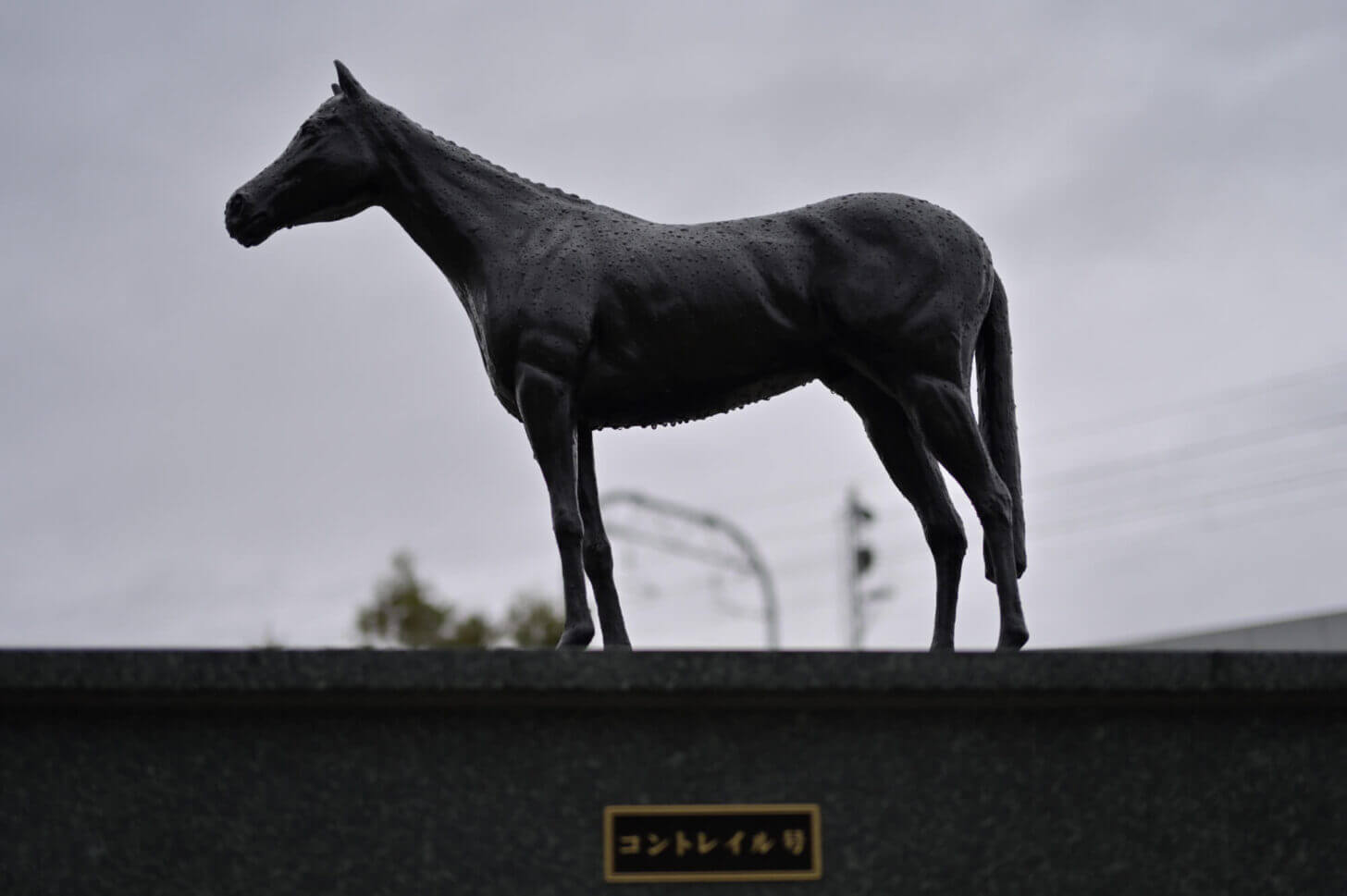 京都競馬場 三冠馬メモリアルロード コントレイル像