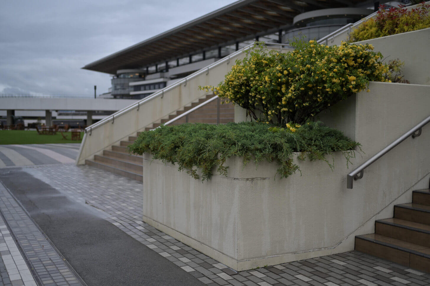 新装京都競馬場