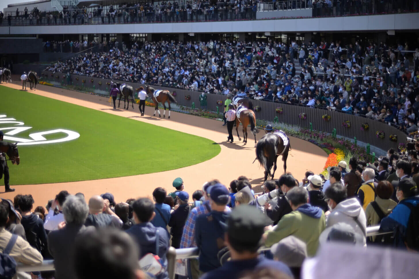 京都競馬場 新パドック全景