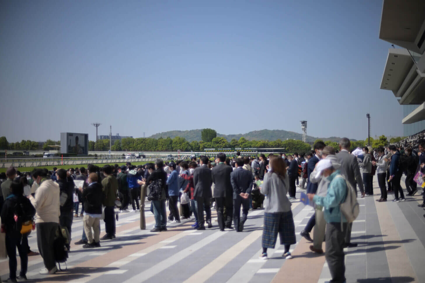 新装京都競馬場全景