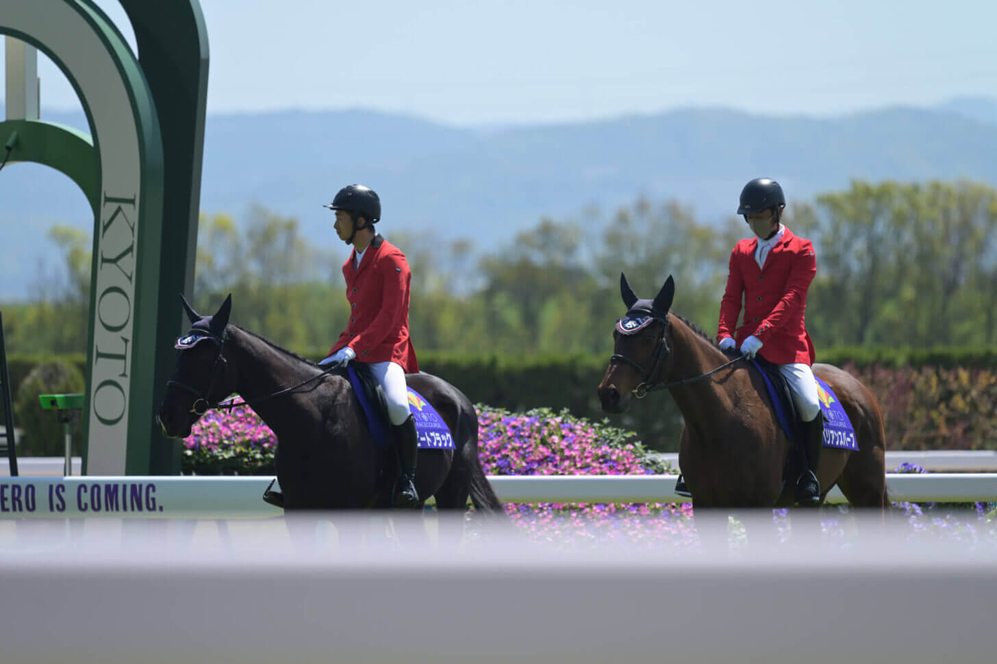 京都競馬場 誘導馬