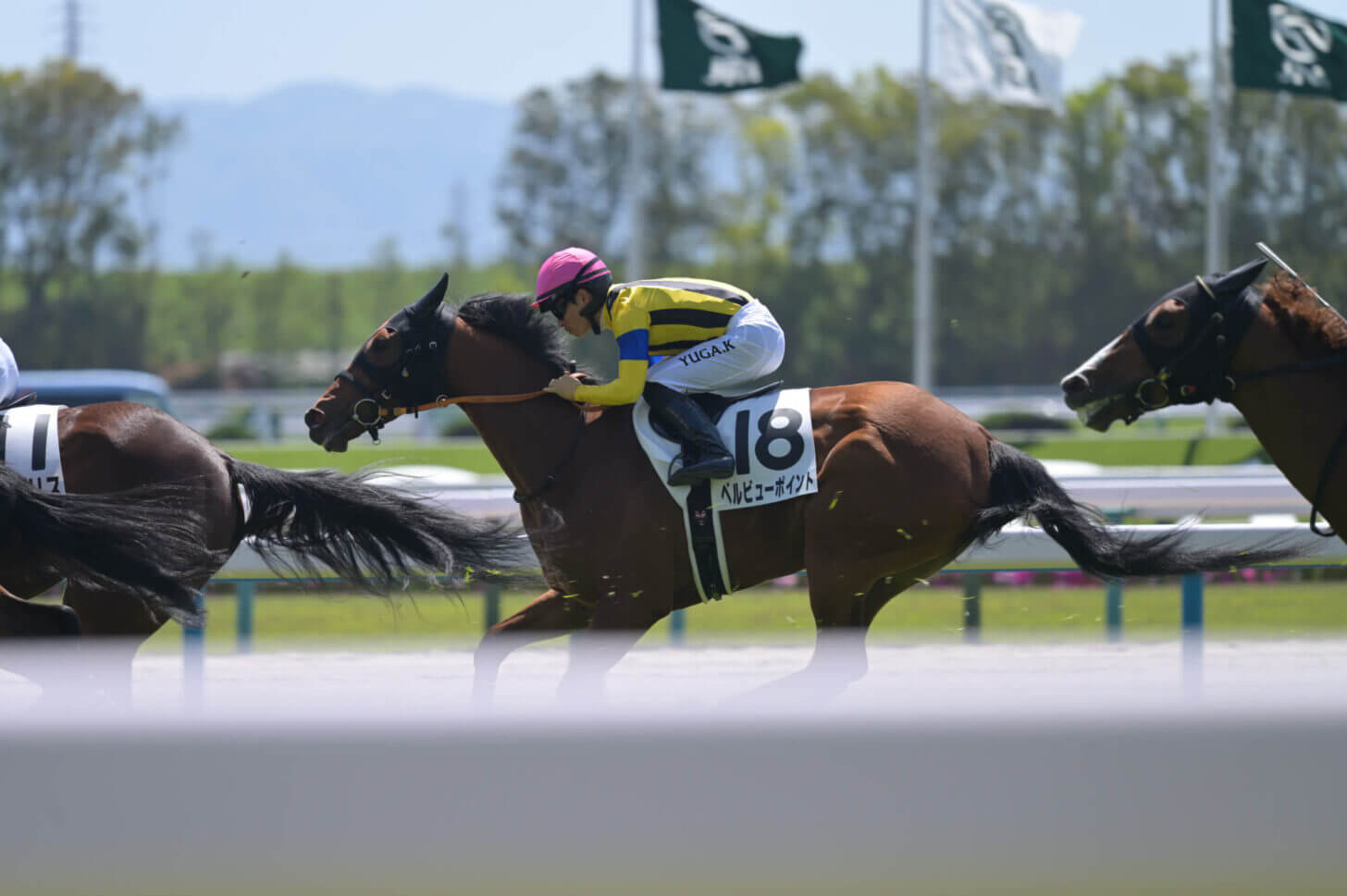 ベルビューポイント 2023年4月22日3歳未勝利レース