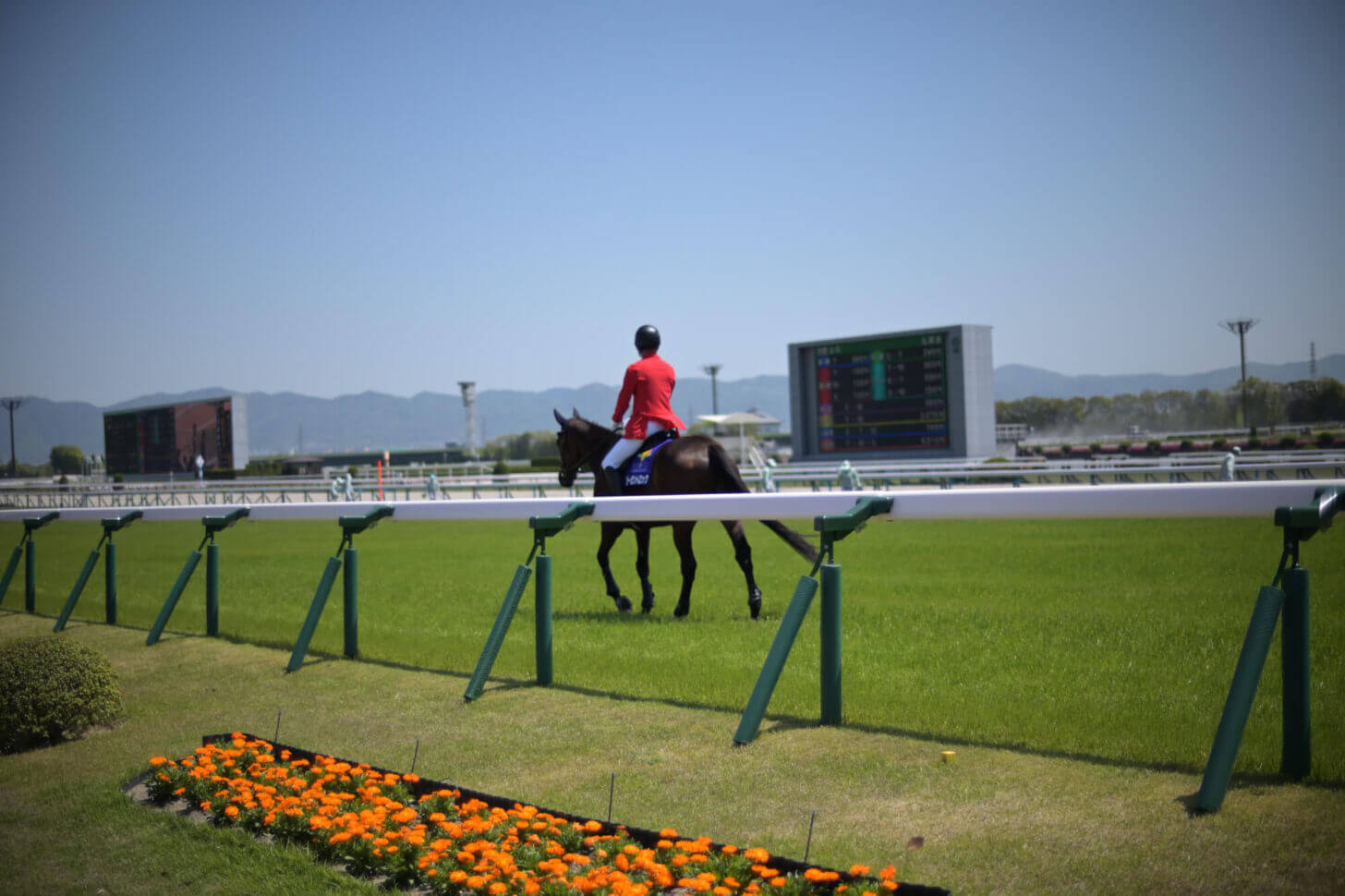 京都競馬場 4コーナー付近