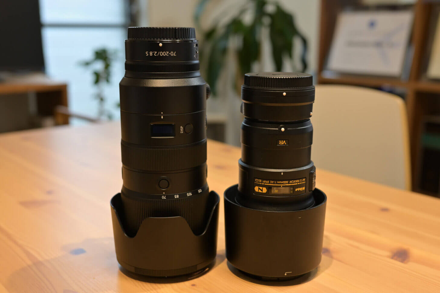 NIKKOR Z 70-200mm f/2.8 VR SとAF-S NIKKOR 300mm f/4E PF ED VRの比較