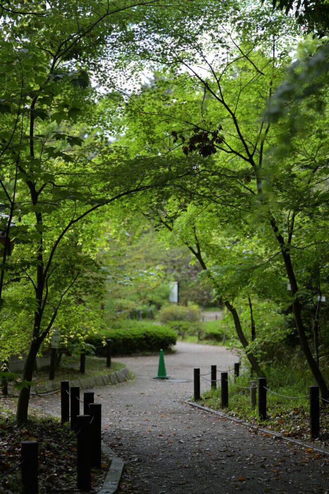 NIKKOR Z 70-200mm f/2.8 VR S試し撮り@京都府立植物園