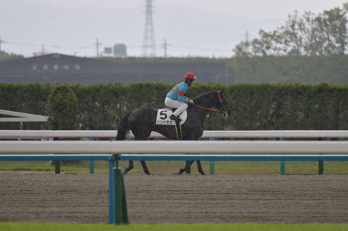 リンドラゴ10戦目本馬場入場