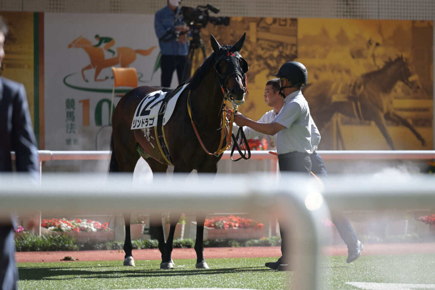 リンドラゴ11戦目パドック