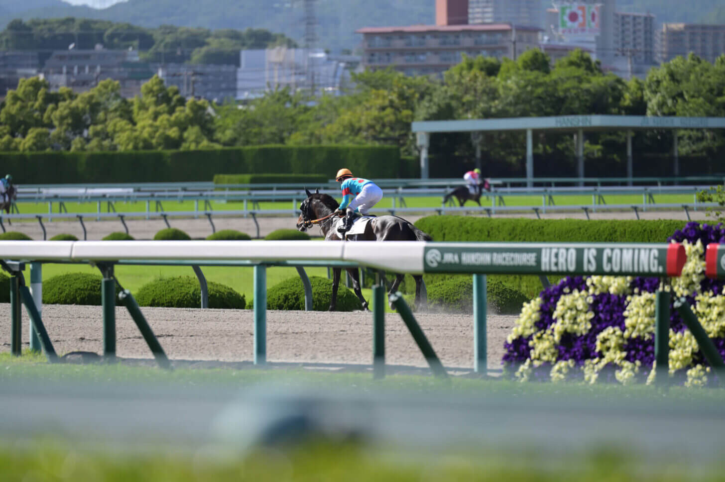 リンドラゴ11戦目返し馬