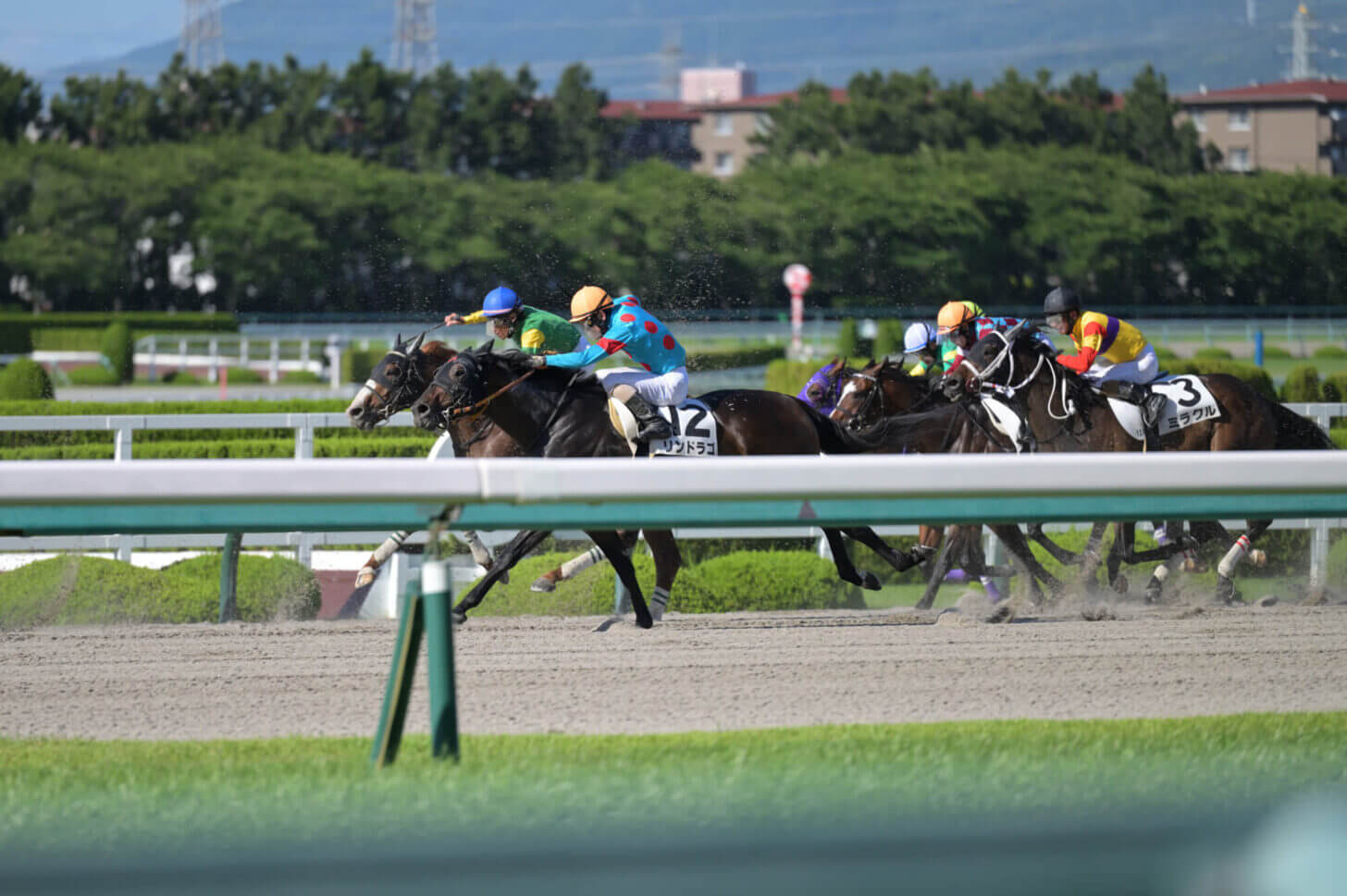 リンドラゴ11戦目レース