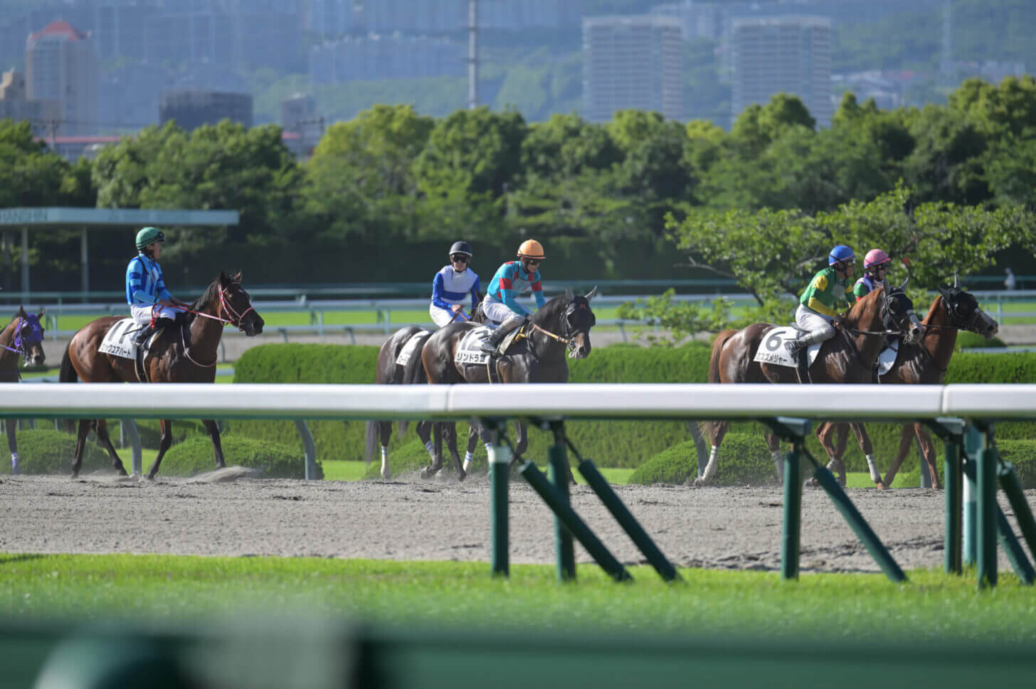 リンドラゴ11戦目レース後