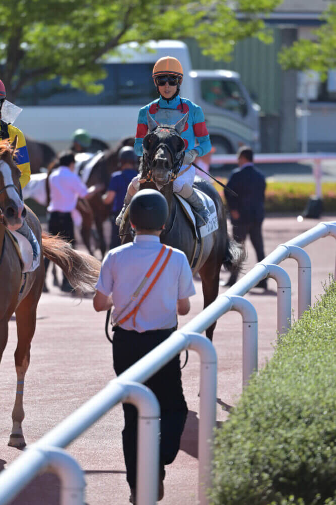 リンドラゴ11戦目レース後