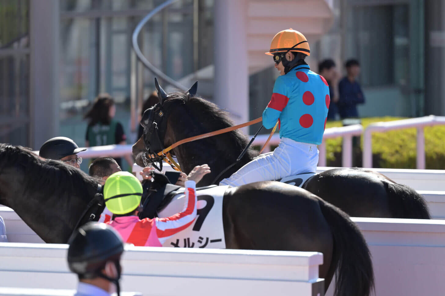 リンドラゴ11戦目レース後