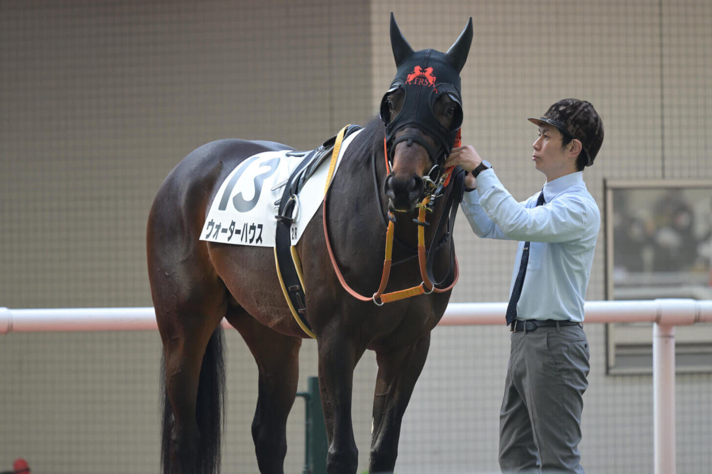 ウォーターハウス3戦目パドック