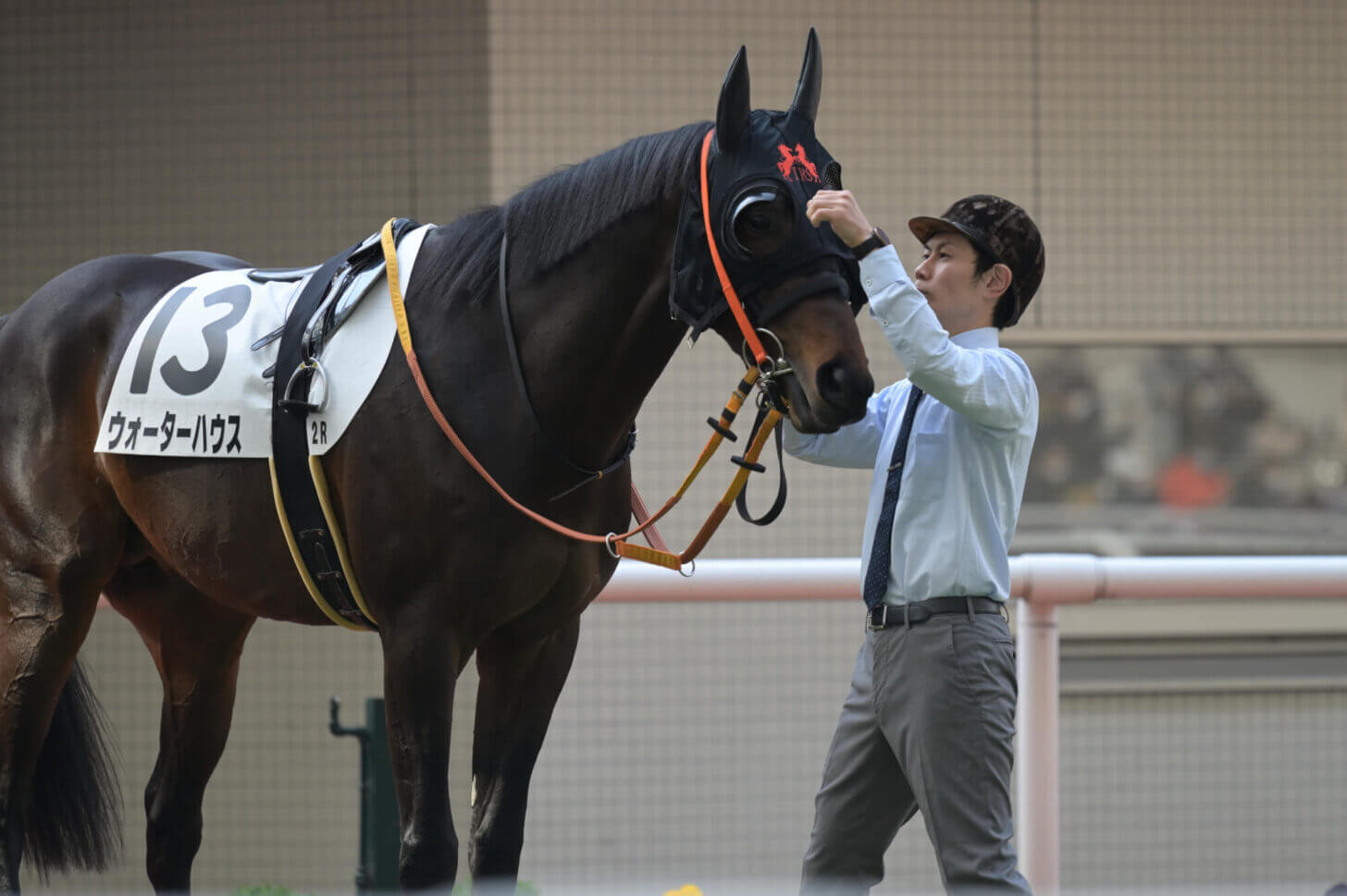 ウォーターハウス3戦目パドック