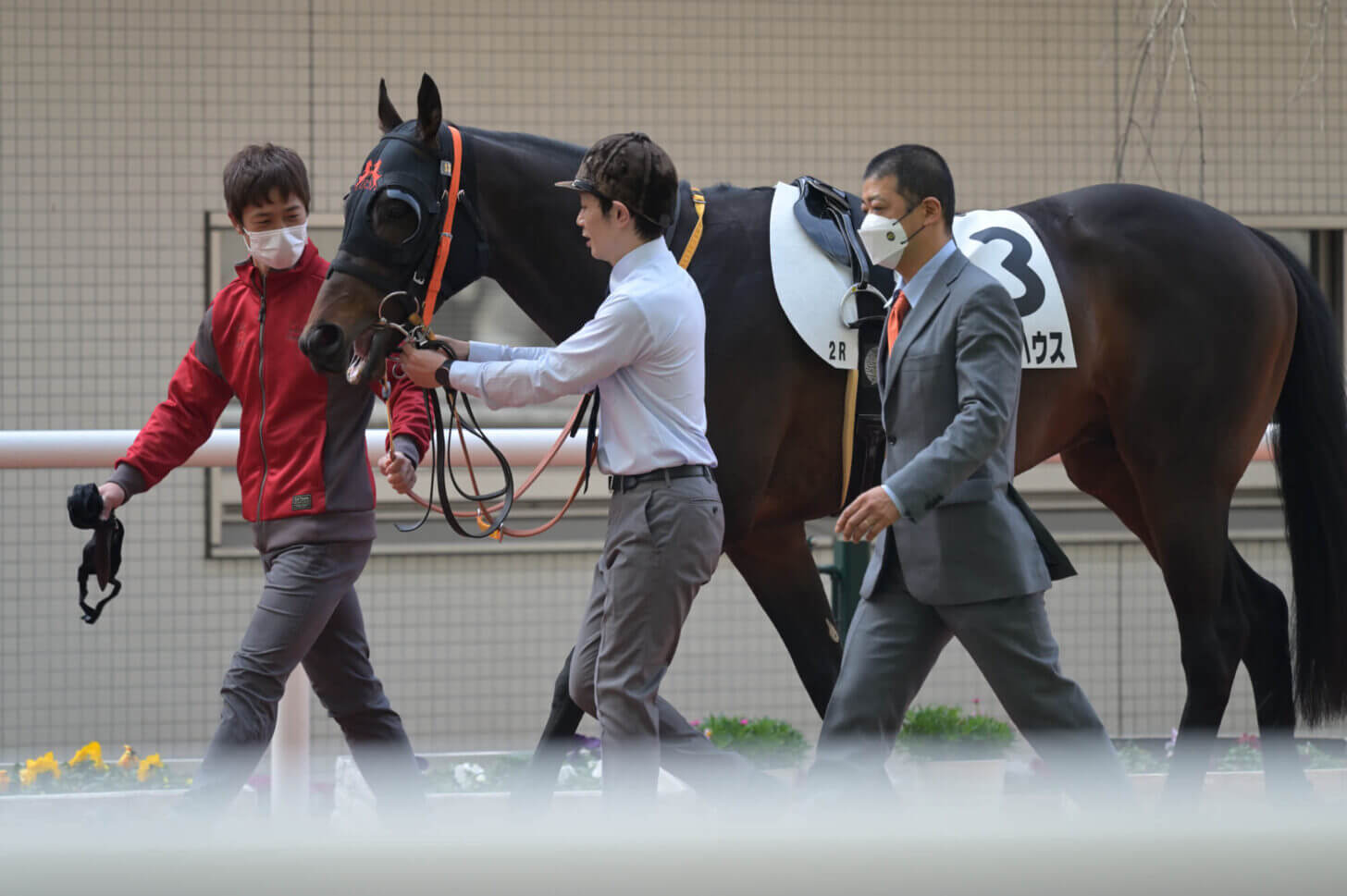 ウォーターハウス3戦目パドック