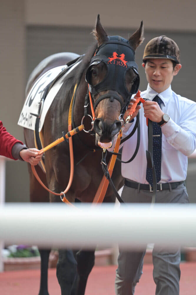 ウォーターハウス3戦目パドック