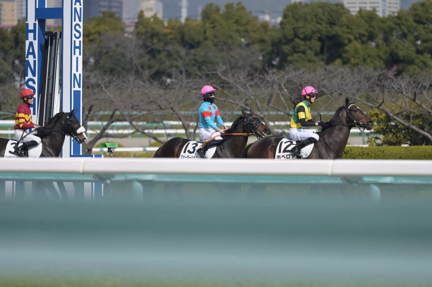 ウォーターハウス3戦目返し馬