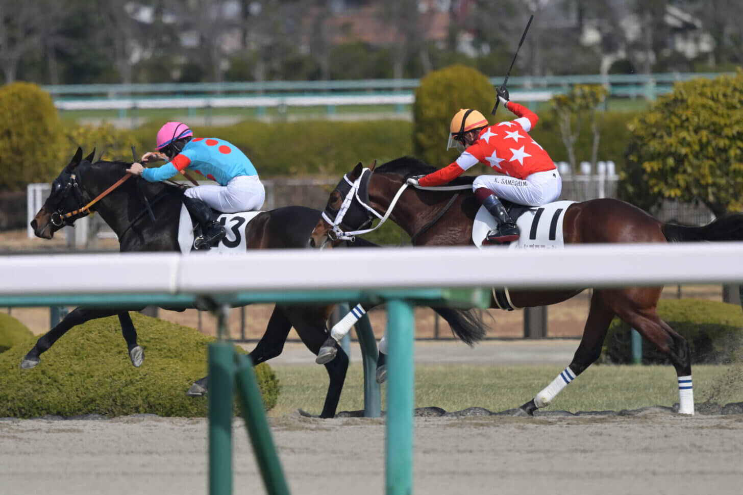 ウォーターハウス3戦目レース