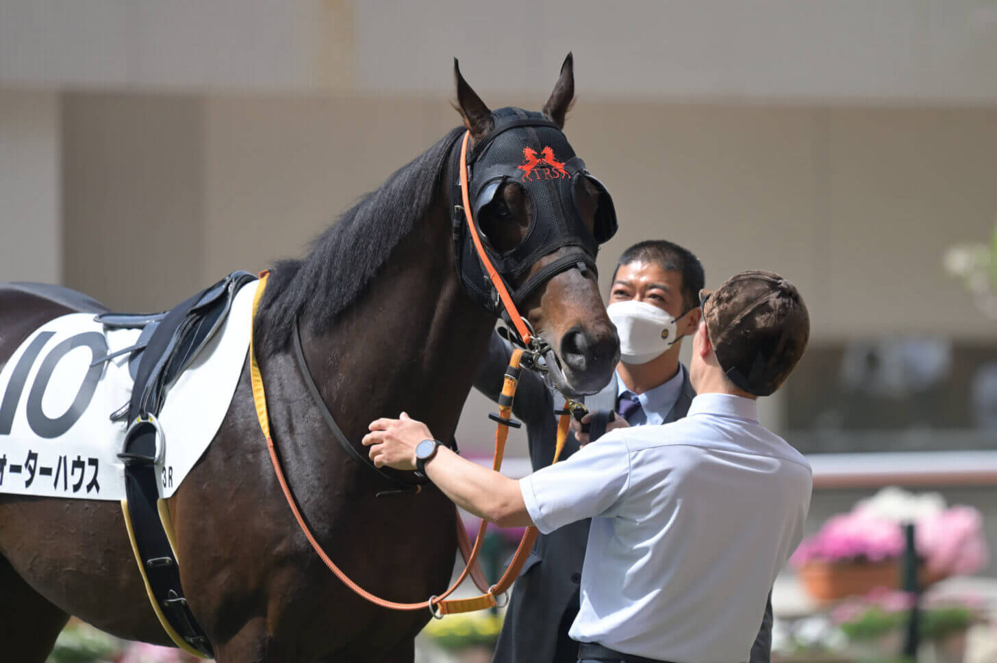 ウォーターハウス4戦目パドック