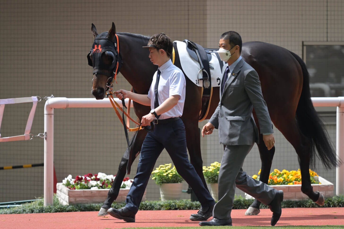 ウォーターハウス4戦目パドック