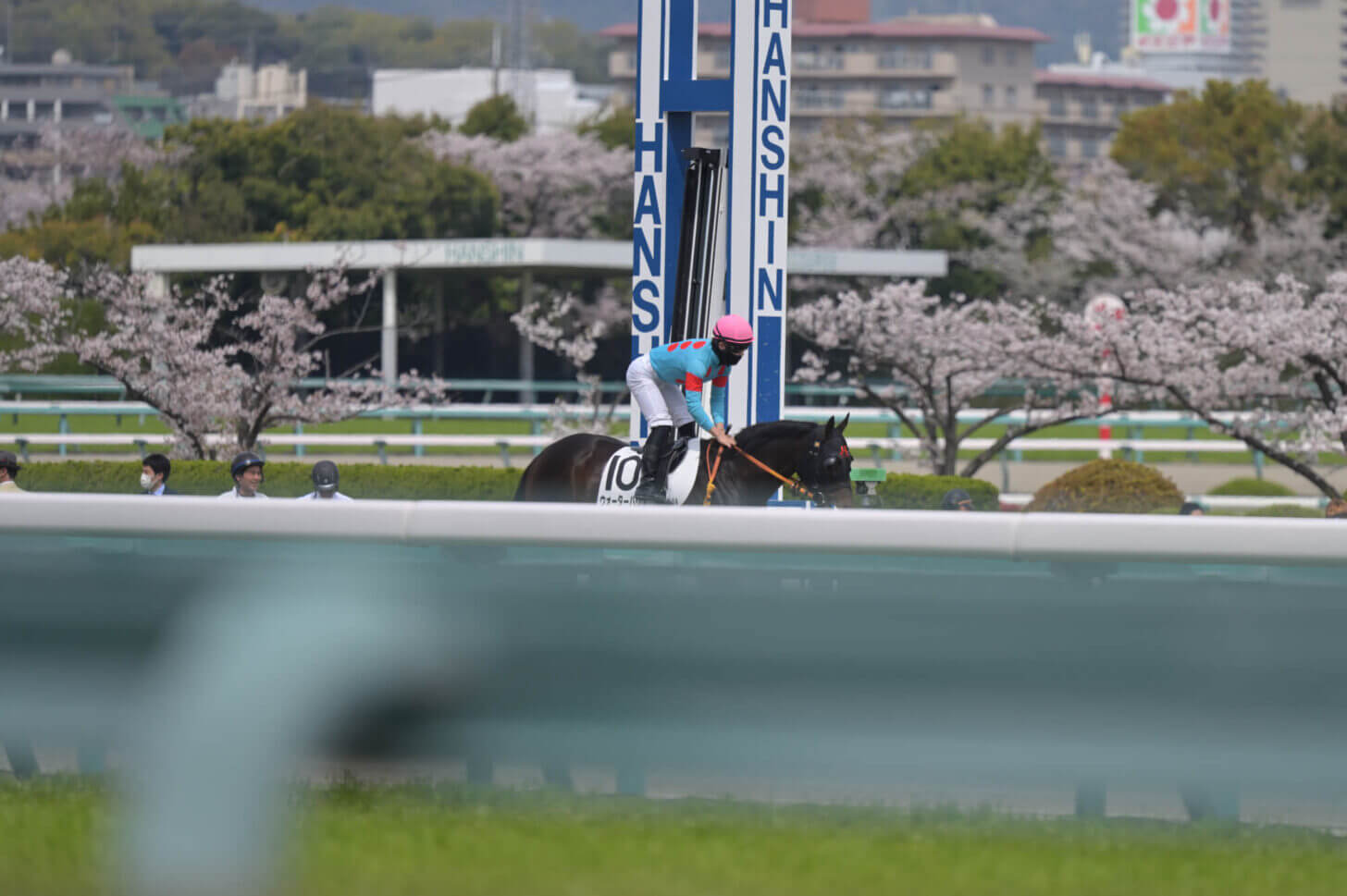 ウォーターハウス4戦目返し馬