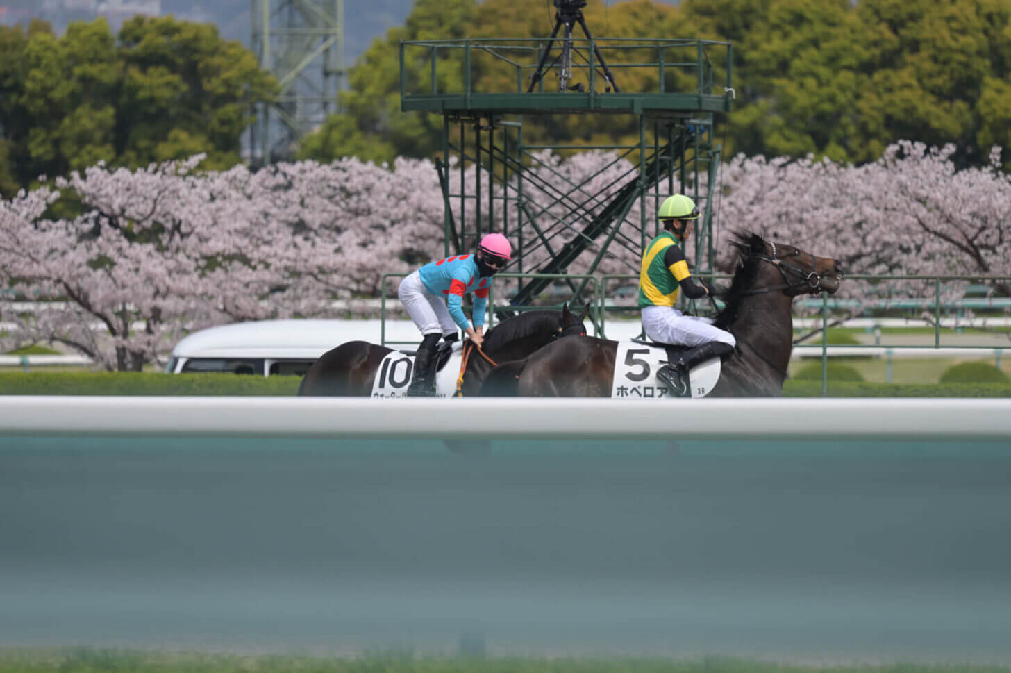 ウォーターハウス4戦目返し馬