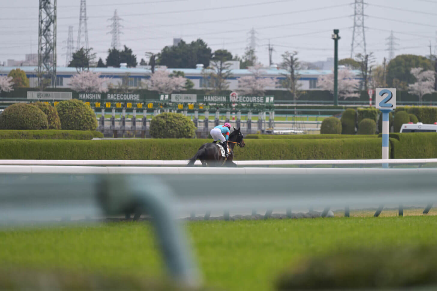 ウォーターハウス4戦目返し馬