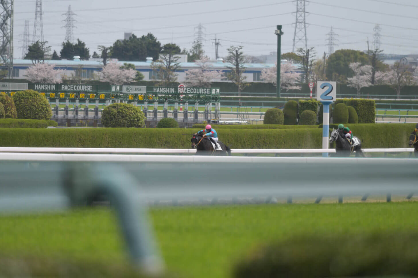 ウォーターハウス4戦目レース