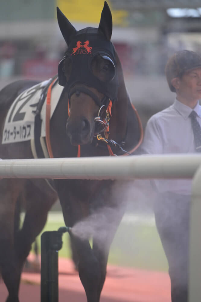 ウォーターハウス初勝利のパドック