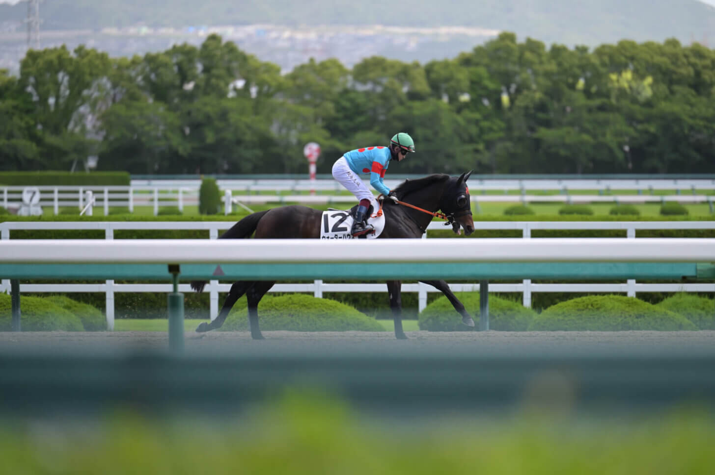 ウォーターハウス初勝利時の返し馬