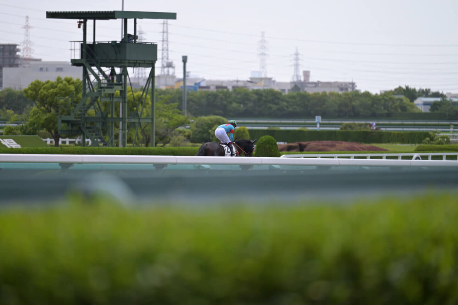 ウォーターハウス初勝利時の返し馬