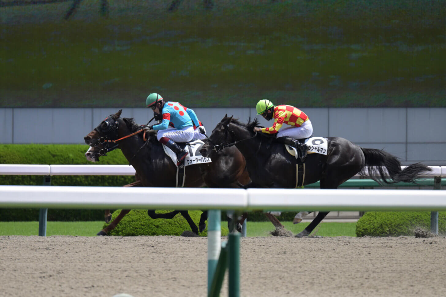 ウォーターハウス初勝利のレース