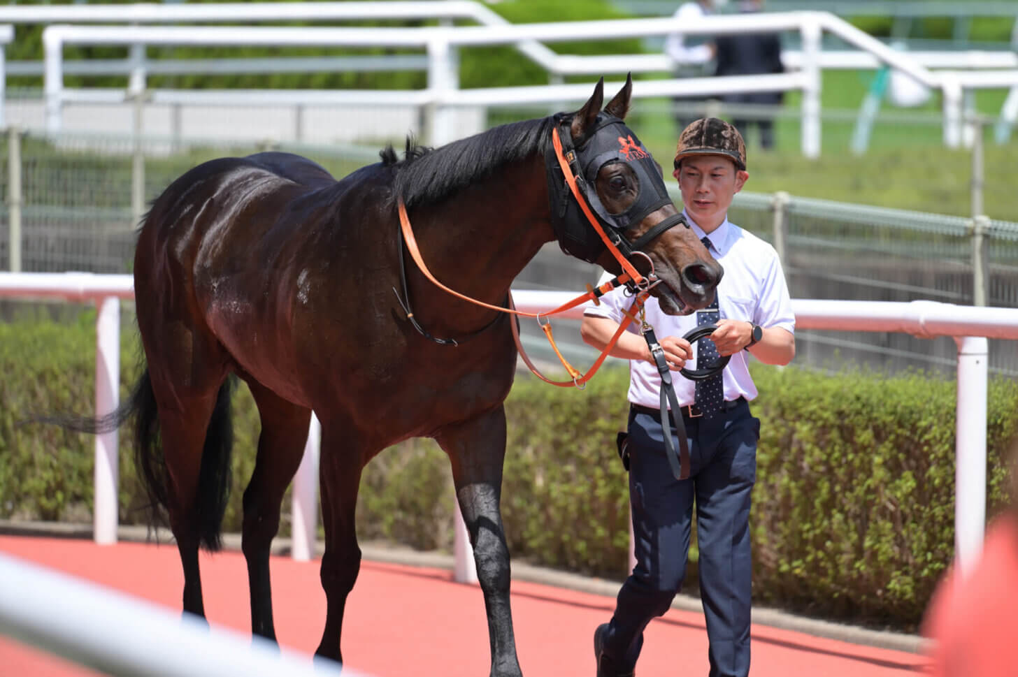 ウォーターハウス初勝利 ウイナーズサークルにて