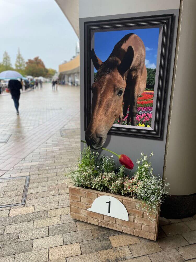 新潟競馬場 場内の写真